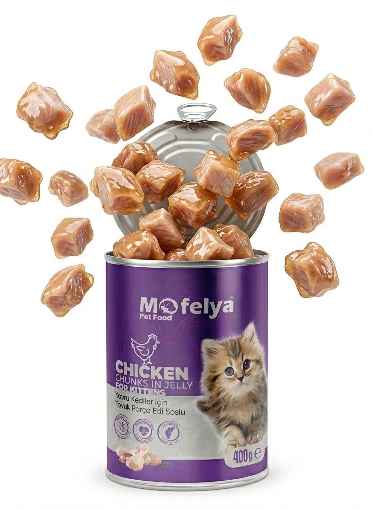 MOFELYA Kitten Food, Wet Chicken with Jelly, 2-Piece Set, 800g - Economical Kitten Food, High in Protein - Image 4