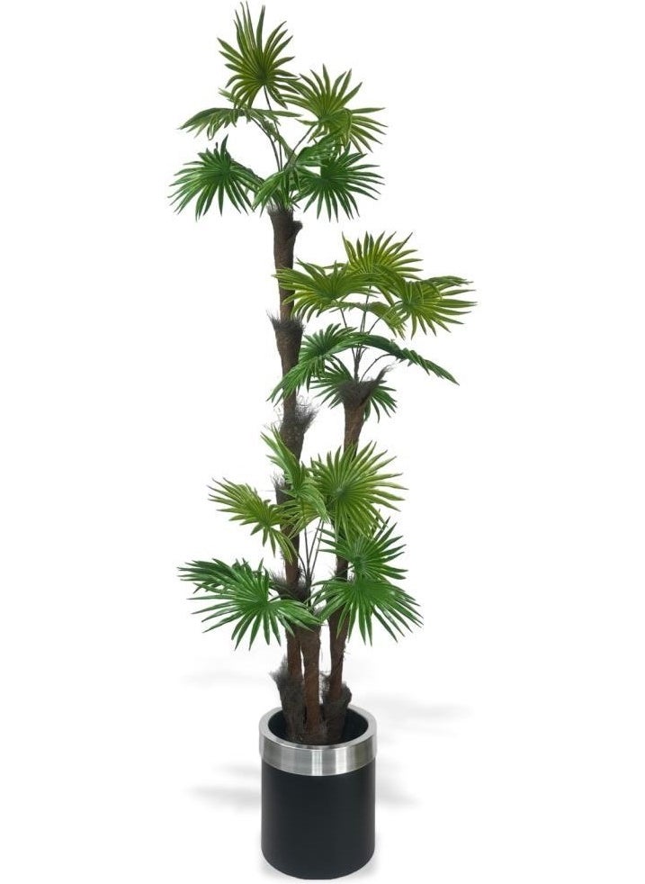 Artificial Tree Palm Fanpalm 3-layer 24 LEAVES with Silver Arch in Black Pot 165*65CM - pzsku/Z05C0C47AD5AFFE8F11E4Z/45/_/1725722188/31fc09f3-791c-4405-94fc-44536812fd57