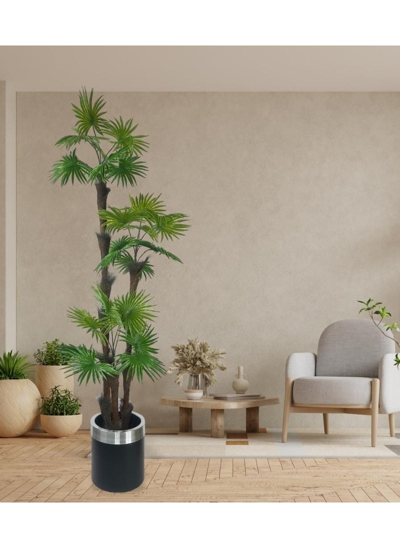 Artificial Tree Palm Fanpalm 3-layer 24 LEAVES with Silver Arch in Black Pot 165*65CM - pzsku/Z05C0C47AD5AFFE8F11E4Z/45/_/1725722220/652376a3-cb58-478e-871e-dcf5fa75c8ec