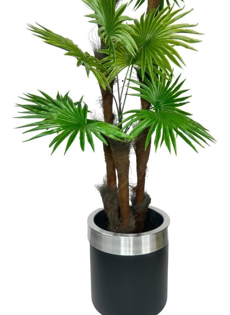 Artificial Tree Palm Fanpalm 3-layer 24 LEAVES with Silver Arch in Black Pot 165*65CM - pzsku/Z05C0C47AD5AFFE8F11E4Z/45/_/1728061732/dd117416-a8ba-4cd3-956c-121cf8d281e4