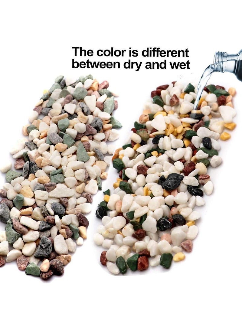 Home zone 2.2lbs (1 KG) Natural Decorative Pebbles Rocks Polished Terrarium Gravel White Stones with Red Green and Yellow Pastel Accents Mixed Colour Garden Accessories  - Image 5