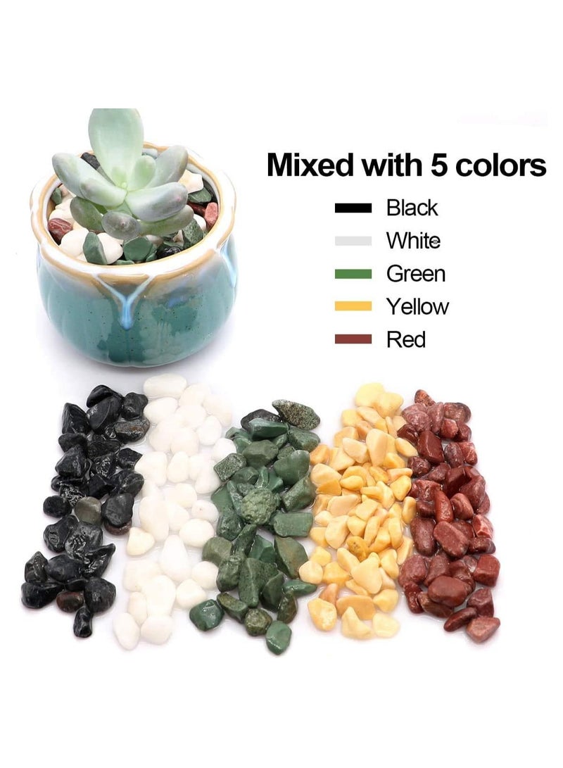 Home zone 2.2lbs (1 KG) Natural Decorative Pebbles Rocks Polished Terrarium Gravel White Stones with Red Green and Yellow Pastel Accents Mixed Colour Garden Accessories  - Image 3