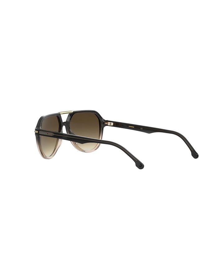 Carrera نظارات شمسية للطيارين - Image 5