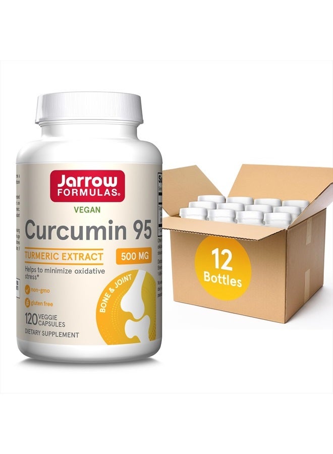 Jarrow Formulas Curcumin 95 500 mg,Turmeric Curcumin Extract for Antioxidant Support, Bone and Joint Support Dietary Supplement,120 Veggie Capsules,Up to 120 Servings, Pack of 12 - Image 1