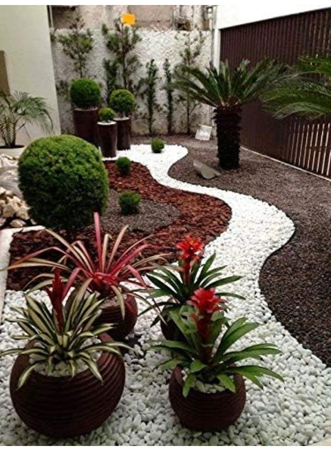 Lamac Crafts لاماك كرافتس - حصى أبيض (كبير 5 كجم) - Image 3