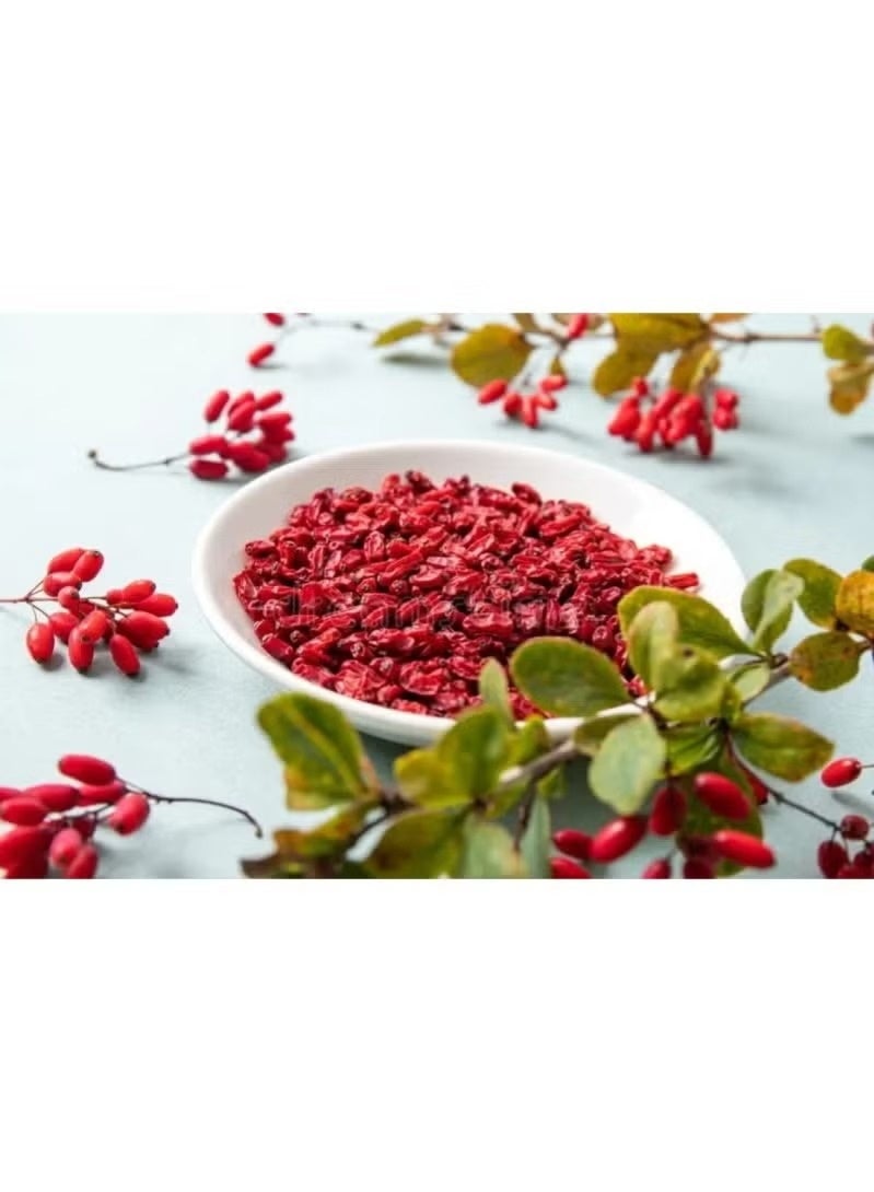 عشبة بربرين مجفف 100 غرام