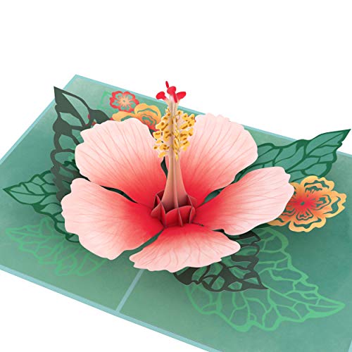 Lovepop Hibiscus Bloom Pop Up Card, 5x7-3D Greeting Card, Pop Up Paper Flower Card, Mother's Day Pop Up Card, Card for Mom, Wife or Friend, Pop Up Anniversary Card, Thinking of You - Image 1