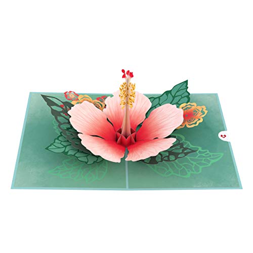 Lovepop Hibiscus Bloom Pop Up Card, 5x7-3D Greeting Card, Pop Up Paper Flower Card, Mother's Day Pop Up Card, Card for Mom, Wife or Friend, Pop Up Anniversary Card, Thinking of You - Image 3