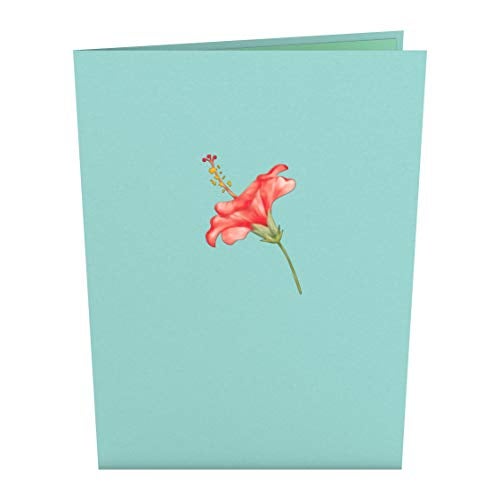 Lovepop Hibiscus Bloom Pop Up Card, 5x7-3D Greeting Card, Pop Up Paper Flower Card, Mother's Day Pop Up Card, Card for Mom, Wife or Friend, Pop Up Anniversary Card, Thinking of You - Image 2