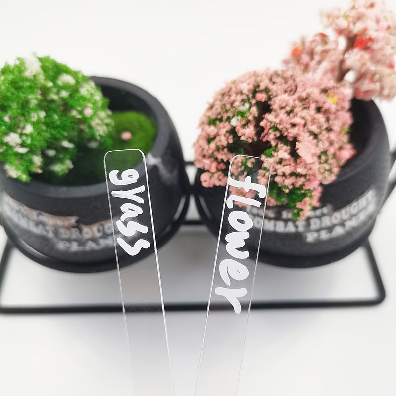 10 Pcs Acrylic Transparent Outdoor Plant Labels Blank Diy Garden Vegetable Classification Identifier Tags - Image 4