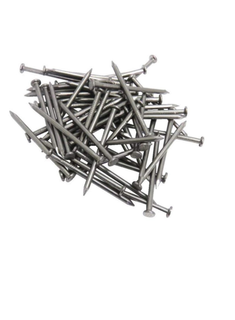 High Strength Round Head Nails For Carpentry Hardware Electrical Etc (25, 6 inch) - Image 1