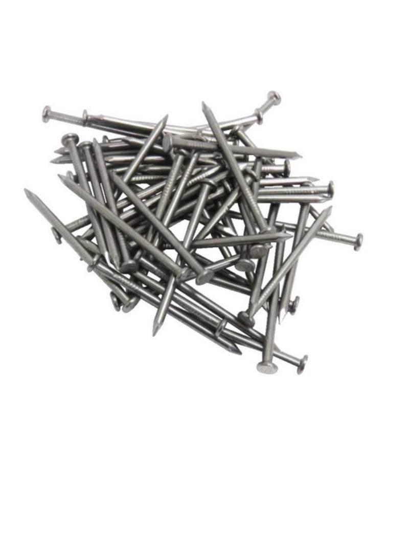 High Strength Round Head Nails For Carpentry Hardware Electrical Etc (25, 6 inch) - Image 2