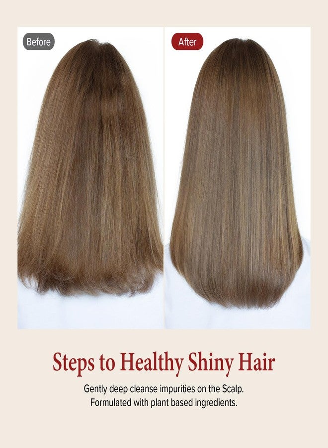 KUNDAL Natural Hair Shampoo [Blackberry Bay] Damage Hair Repair Strengthen, Nourish dry, with Honey, Argan Oil, Macadamia Oil, Free Paraben & Sulfate 10.14 Fl Oz (300ml) - Image 5