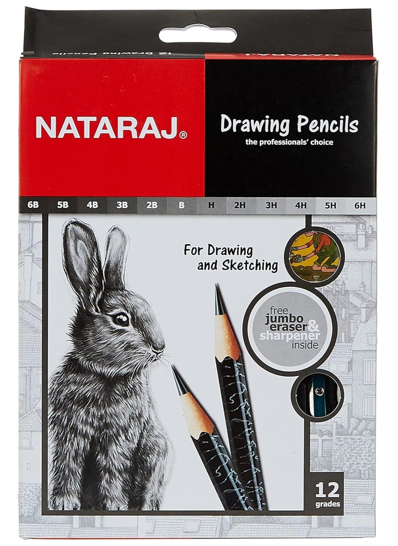 NATARAJ - NATARAJ 12 DEGREE PENCIL SET WITH ERASER & SHARPENER - Image 1