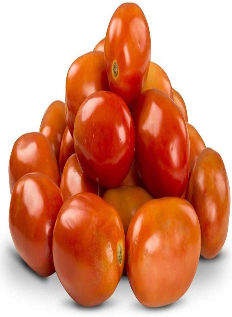 GGOOT 200Stück Tomatensamen Indoor Outdoor Aussaat das ganze Jahr über Anpassungsfähig Leicht zu überleben Staude Schöne Gartendekoration Genießen Sie die Freude an der Ernte - Image 3