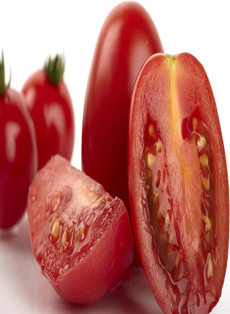 GGOOT 200Stück Tomatensamen Indoor Outdoor Aussaat das ganze Jahr über Anpassungsfähig Leicht zu überleben Staude Schöne Gartendekoration Genießen Sie die Freude an der Ernte - Image 2