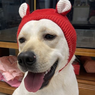 Warm Winter Dog Hat for Large Breeds Red (free size elastic) - pzsku/Z05C904A32E9270F2D040Z/45/1746230573/d7738ca1-e473-4f7a-80a3-998179377803