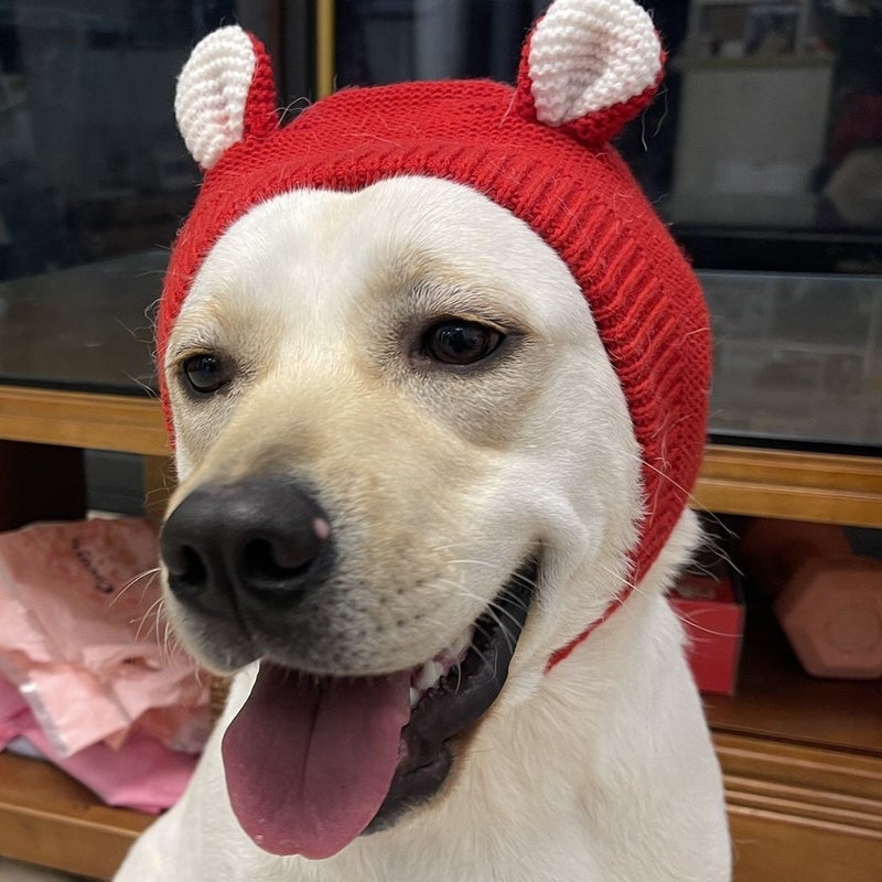 Warm Winter Dog Hat for Large Breeds Red (free size elastic)