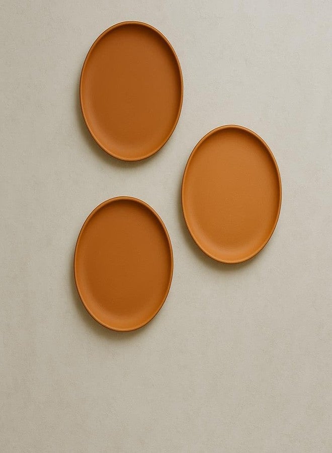 SHRIYAM CRAFT Clay Earthen Plates Dinner Plate (Plate 11" Pack of 2) - Image 3