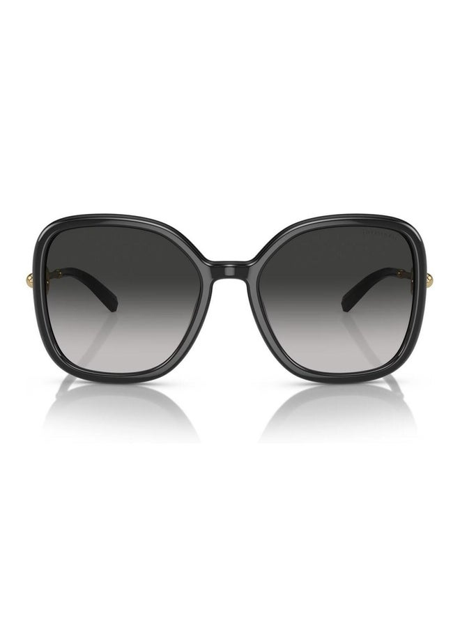 تيفاني تيفاني Tf4202u 80013c 57 نظارة شمسية نسائية  - Image 2