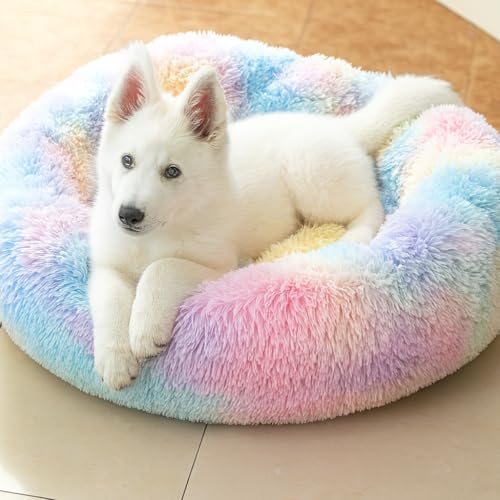 ZEXSAZONE 2-in-1 Reversible Donut Pet Bed for Cats & Puppies | Summer Cooling Two Side Use Round Cat Bed | Ultra Soft Washable Bed for Persian Cat, Shih Tzu & Small Dogs | Rainbow | Small - Image 1