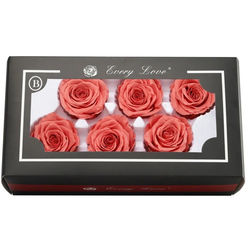 Y&D 5-6cm Natural Dried Roses B Grade for DIY Crafts & Valentine's/Mother's Day Decor - Fresh Dried Plants - Image 1