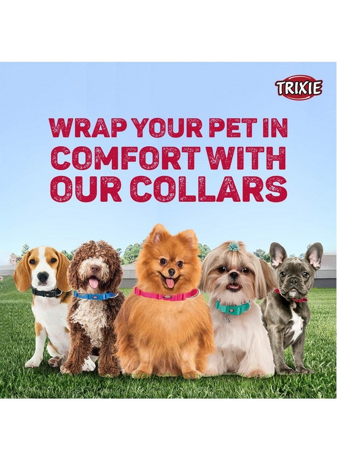 تريكسي حزام طوق للكلاب عالي الجودة، تصميم أنيق، شريط شبكي قابل للتعديل، تخفيف الضغط، مع موصل مقود، طوق رقبة للحيوانات الأليفة للكلاب، 30-45 سم، أسود غامق (عبوة من 3 قطع) - Image 4