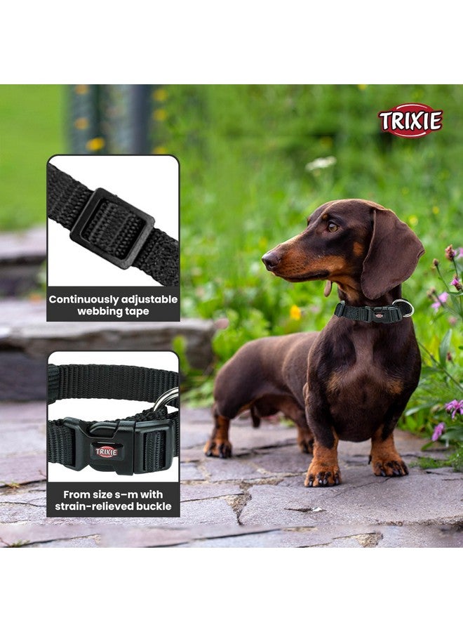 تريكسي حزام طوق للكلاب عالي الجودة، تصميم أنيق، شريط شبكي قابل للتعديل، تخفيف الضغط، مع موصل مقود، طوق رقبة للحيوانات الأليفة للكلاب، 30-45 سم، أسود غامق (عبوة من 3 قطع) - Image 2