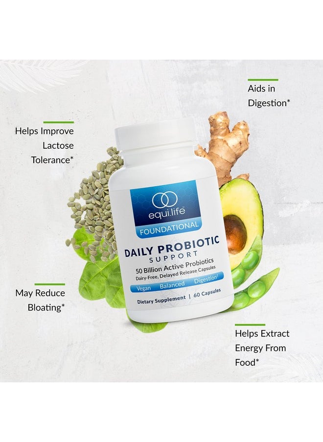 Equilife - Daily Probiotic Support Dairyfree Probiotic Supplement Supports Natural Energy  Immunity May Improve Gut Health  Reduce Bloating No Refrigeration Needed Dairyfree 60 Capsules - Image 1