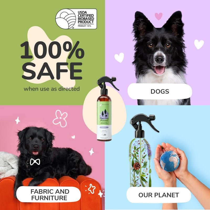 kin+kind Flea and Tick Spray and Shampoo Kit- Shampoo and Spray Set- Shampoo for Dogs, Spray for Dogs- for Tick and Flea Control Shampoo and Repel Spray- Lavender, 12 oz Each - Image 5