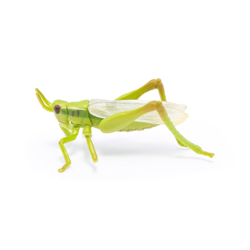 Papo -hand-painted - figurine -Wild animal kingdom - Grasshopper -50268 -Collectible - For Children - Suitable for Boys and Girls- From 3 years old - Image 1