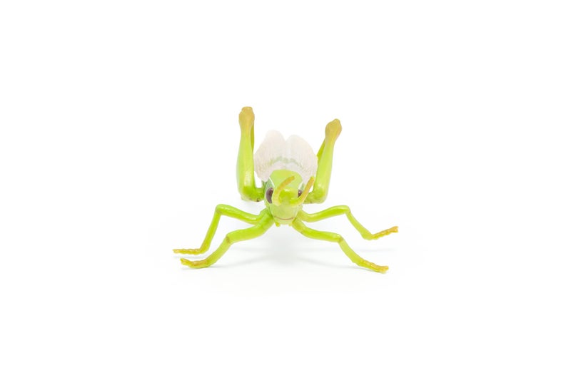 Papo -hand-painted - figurine -Wild animal kingdom - Grasshopper -50268 -Collectible - For Children - Suitable for Boys and Girls- From 3 years old - Image 3