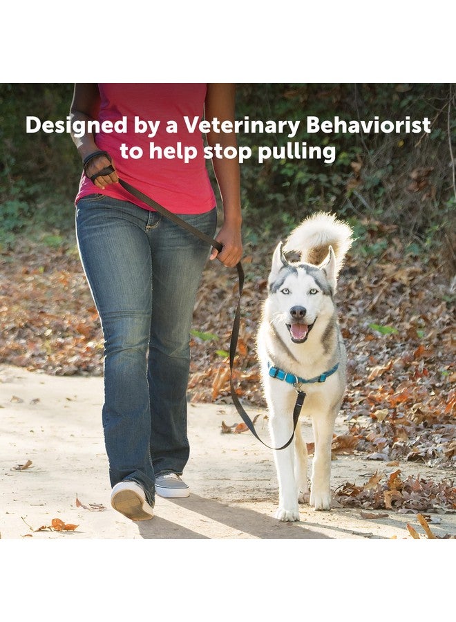 بيت سيف حزام الكلب الفاخر سهل المشي من PetSafe، حزام الكلب بدون سحب - مثالي لتدريب الكلاب على المقود والحزام - يمنع الحيوانات الأليفة من السحب والاختناق أثناء المشي - كبير، لون المحيط - Image 5