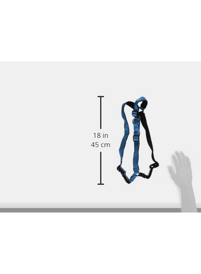 بيت سيف حزام الكلب الفاخر سهل المشي من PetSafe، حزام الكلب بدون سحب - مثالي لتدريب الكلاب على المقود والحزام - يمنع الحيوانات الأليفة من السحب والاختناق أثناء المشي - كبير، لون المحيط - Image 3