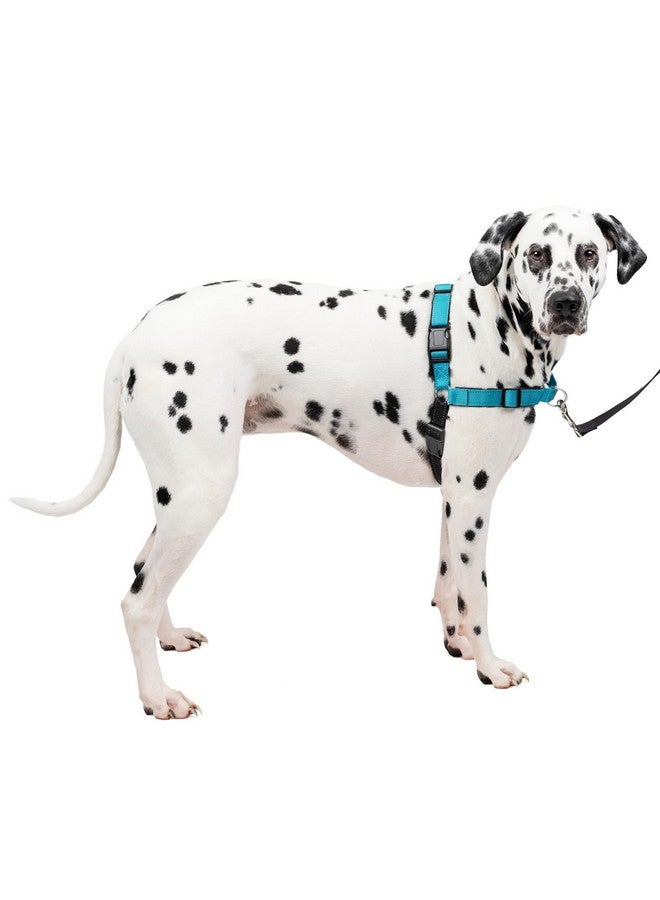 بيت سيف حزام الكلب الفاخر سهل المشي من PetSafe، حزام الكلب بدون سحب - مثالي لتدريب الكلاب على المقود والحزام - يمنع الحيوانات الأليفة من السحب والاختناق أثناء المشي - كبير، لون المحيط - Image 1