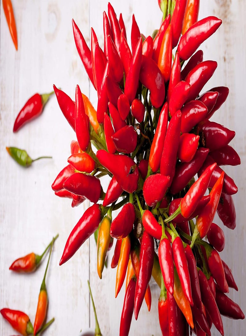 GGOOT Pepper, Hot Super Chili Hybrid - Pepper Seeds