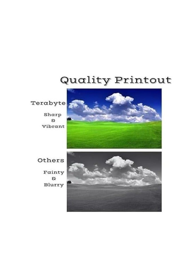 Terabyte 14A Compatible Toner Cartridge Replacement for Toner Cartridge CF214A for LaserJet Enterprise 700 M712 and M725 - Image 2