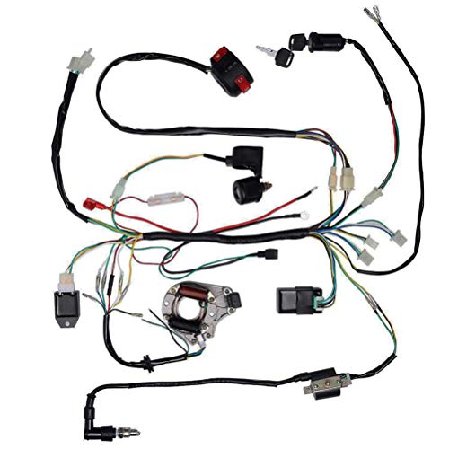 BOOTOP PIN Complete Wiring Harness Kit ATV Wire Harness for Taotao Chinese 4 Wheeler 50cc 70cc 110cc 125cc Pit Quad Dirt Bike Parts with Electrics Stator Coil CDI Solenoid Relay by BOOTOP PIN - Image 3