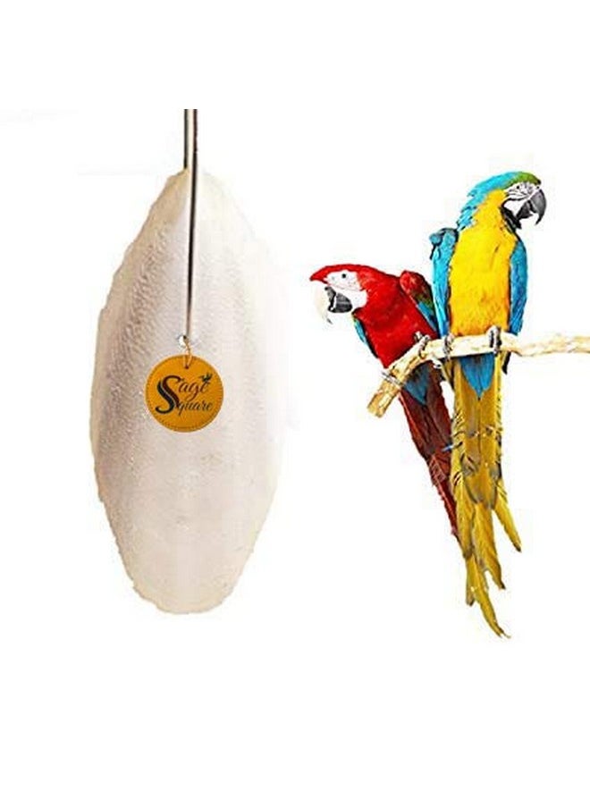 Sage Square Natural High Calcium Source Cuttlebone Fish For Birds, Parrot (300Grm)  - Image 1