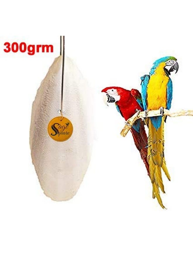 Sage Square Natural High Calcium Source Cuttlebone Fish For Birds, Parrot (300Grm)  - Image 2