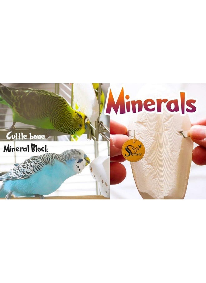 Sage Square Natural High Calcium Source Cuttlebone Fish For Birds, Parrot (300Grm)  - Image 4