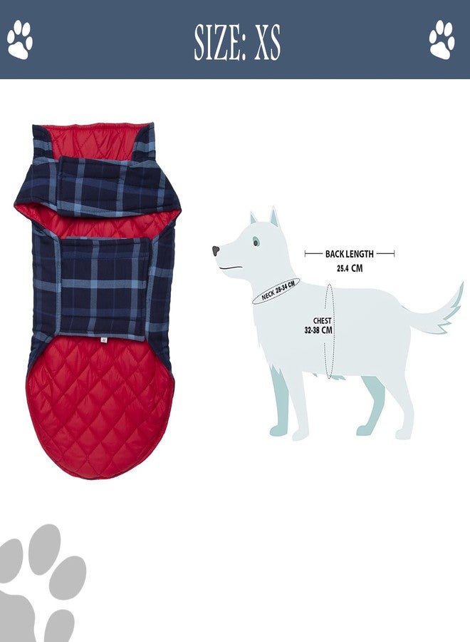 Lulala Plaid Dog Vest Winter Reflevtive Stripe,Hoddie Jacket Windproof,Reversible (Blue,XS) - Image 5