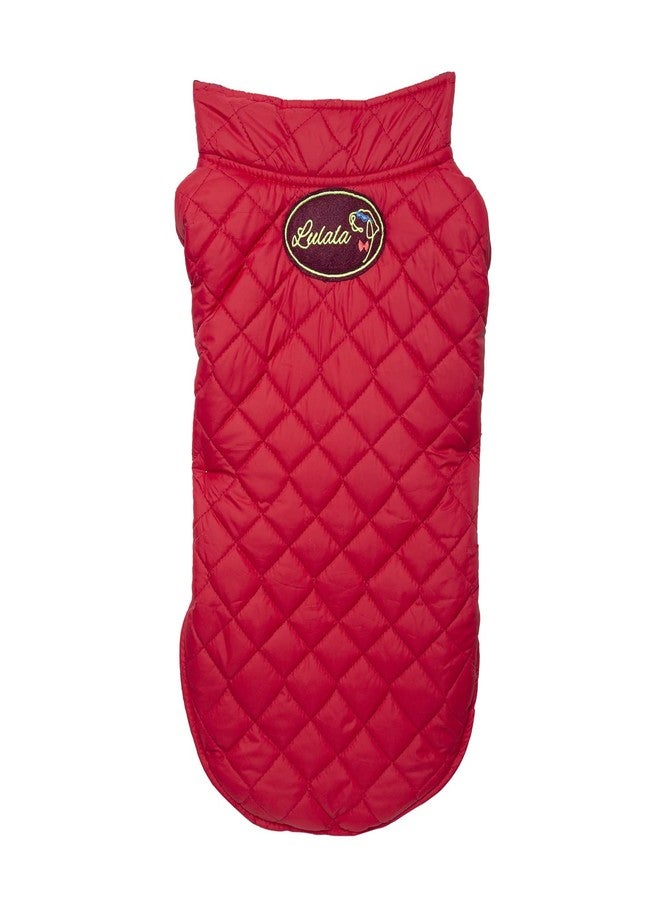 Lulala Plaid Dog Vest Winter Reflevtive Stripe,Hoddie Jacket Windproof,Reversible (Blue,XS) - Image 3
