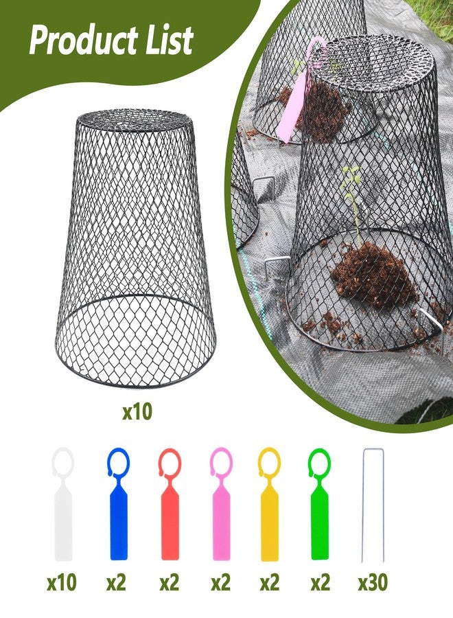 Anothera 10Pcs Chicken Wire Cloche Plant Covers, 9.2×9.2 Inches Plant Protectors from Animals, Metal Garden Plant Cages for Outdoor Plants, Keep Rabbits, Squirrels, Birds Out - Image 3