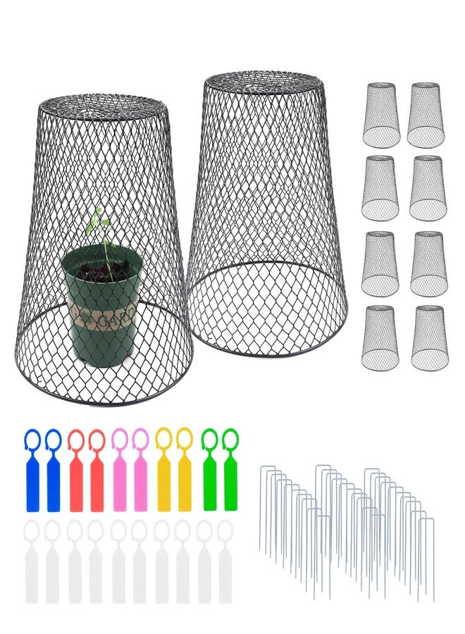 Anothera 10Pcs Chicken Wire Cloche Plant Covers, 9.2×9.2 Inches Plant Protectors from Animals, Metal Garden Plant Cages for Outdoor Plants, Keep Rabbits, Squirrels, Birds Out - Image 1