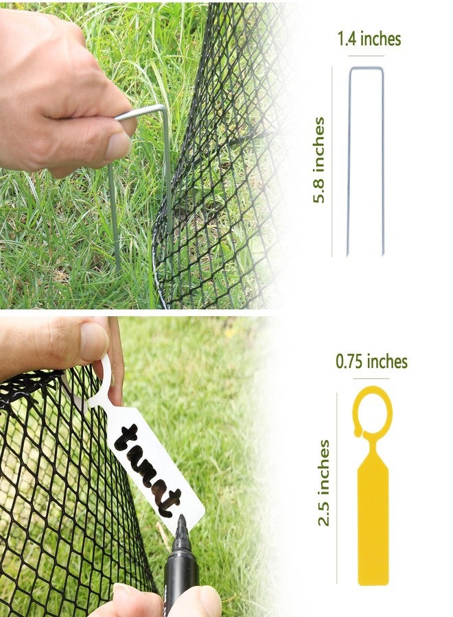 Anothera 10Pcs Chicken Wire Cloche Plant Covers, 9.2×9.2 Inches Plant Protectors from Animals, Metal Garden Plant Cages for Outdoor Plants, Keep Rabbits, Squirrels, Birds Out - Image 5