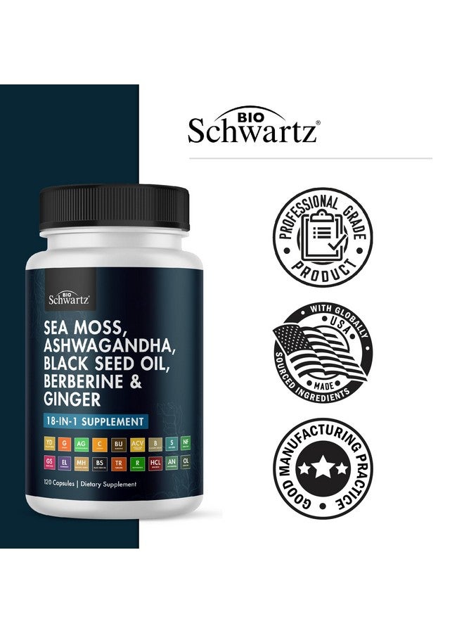 BioSchwartz مكمل زيت بذور الكمون الأسود من بيوشوارز مع طحالب البحر، أشواغاندا، زنجبيل، كركم، بيربرين HCI، جذر الأرقطيون، بلادر وراك، ريسفيراترول، توت البلسان، عسل مانوكا، خل التفاح ACV - 120 كبسولة من طحالب البحر - Image 5