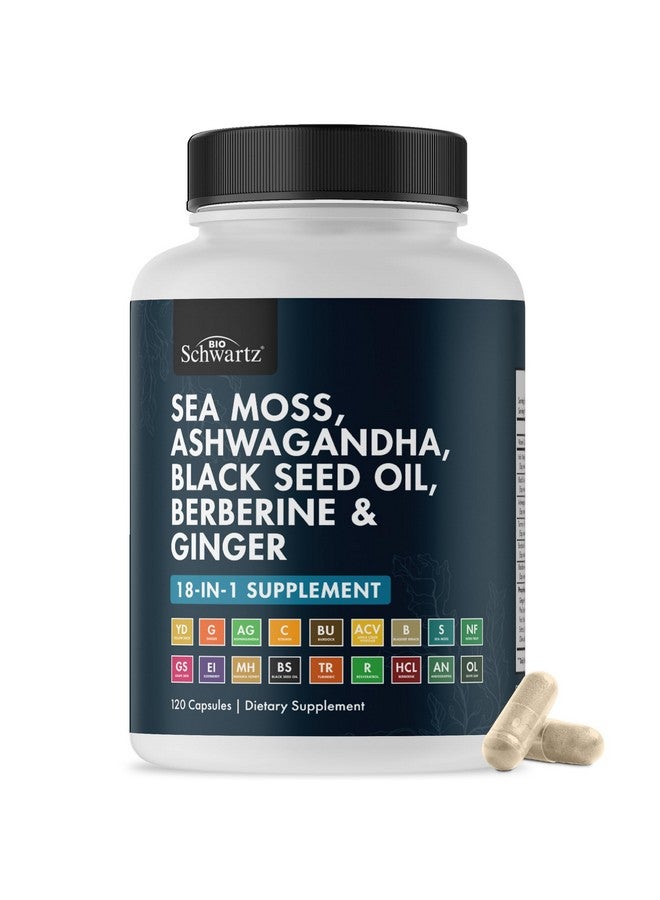 BioSchwartz مكمل زيت بذور الكمون الأسود من بيوشوارز مع طحالب البحر، أشواغاندا، زنجبيل، كركم، بيربرين HCI، جذر الأرقطيون، بلادر وراك، ريسفيراترول، توت البلسان، عسل مانوكا، خل التفاح ACV - 120 كبسولة من طحالب البحر - Image 1