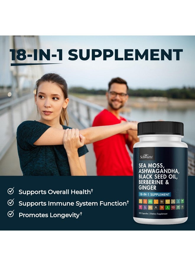 BioSchwartz مكمل زيت بذور الكمون الأسود من بيوشوارز مع طحالب البحر، أشواغاندا، زنجبيل، كركم، بيربرين HCI، جذر الأرقطيون، بلادر وراك، ريسفيراترول، توت البلسان، عسل مانوكا، خل التفاح ACV - 120 كبسولة من طحالب البحر - Image 3