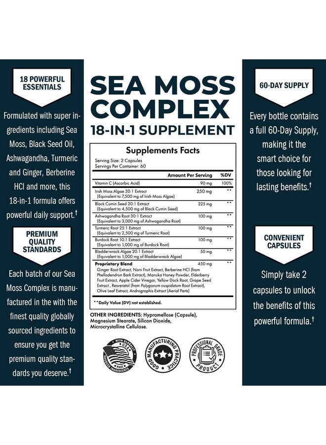 BioSchwartz مكمل زيت بذور الكمون الأسود من بيوشوارز مع طحالب البحر، أشواغاندا، زنجبيل، كركم، بيربرين HCI، جذر الأرقطيون، بلادر وراك، ريسفيراترول، توت البلسان، عسل مانوكا، خل التفاح ACV - 120 كبسولة من طحالب البحر - Image 2